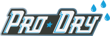 ProDry Logo2